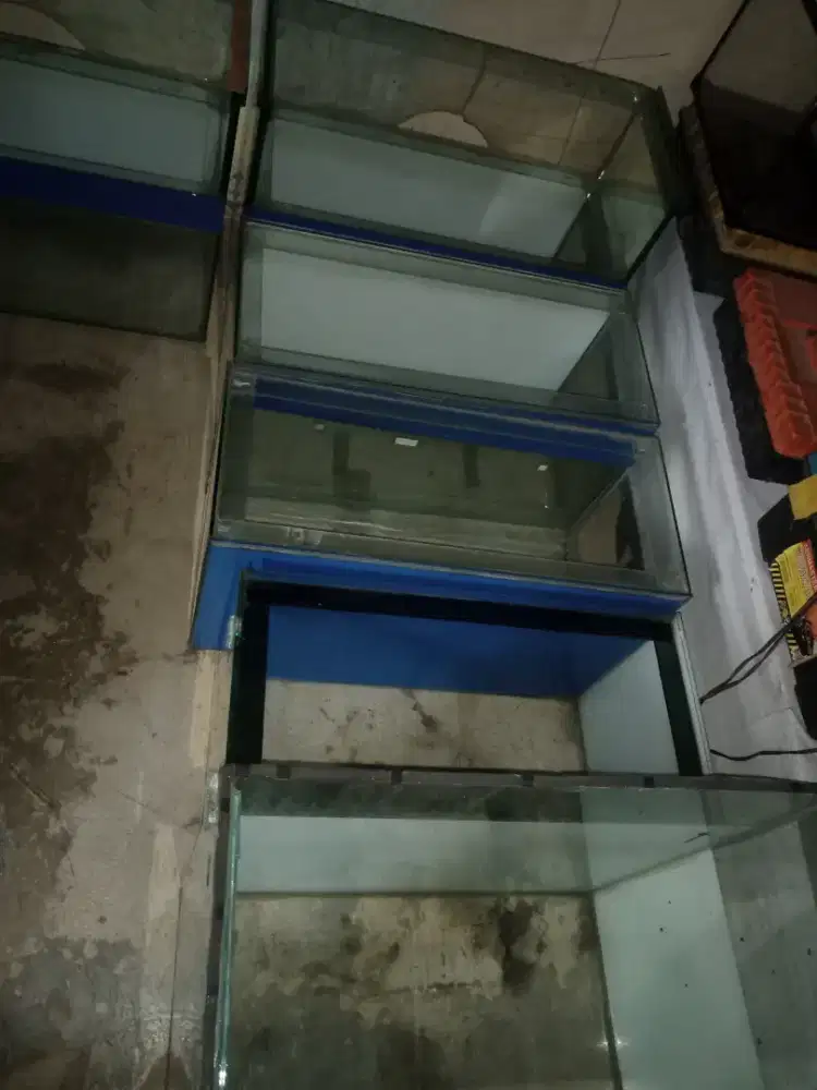 aquarium 71x36x30