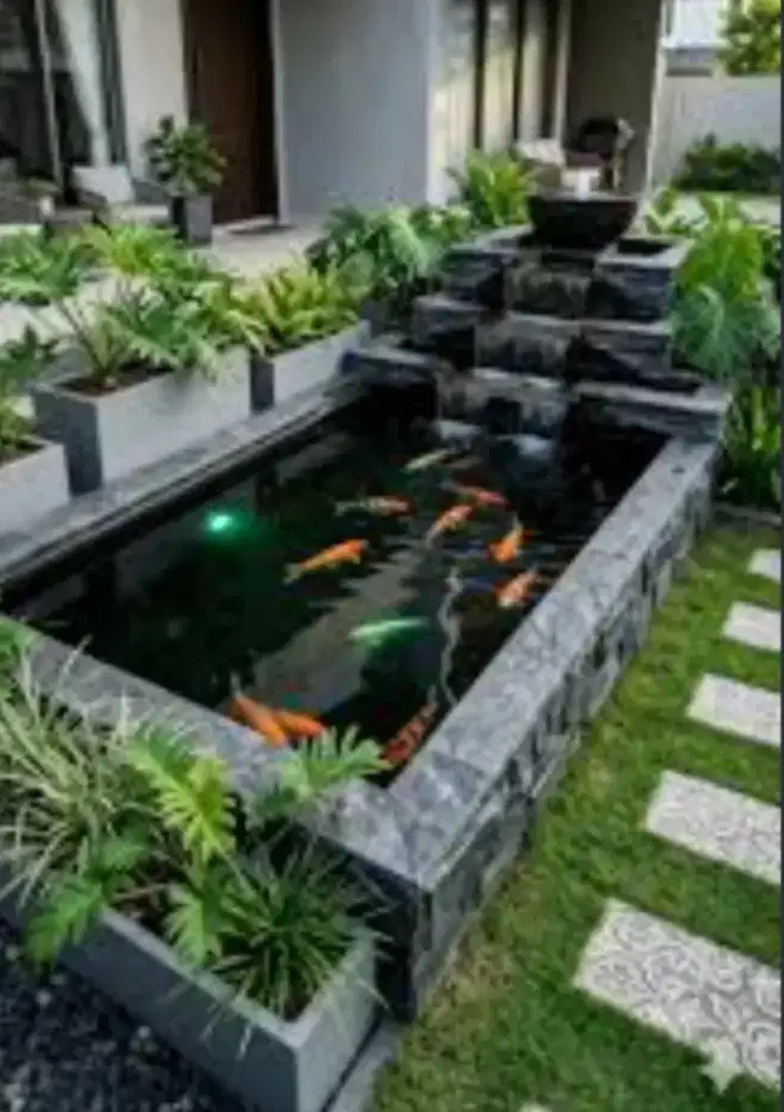 Tukang kolam ikan koi