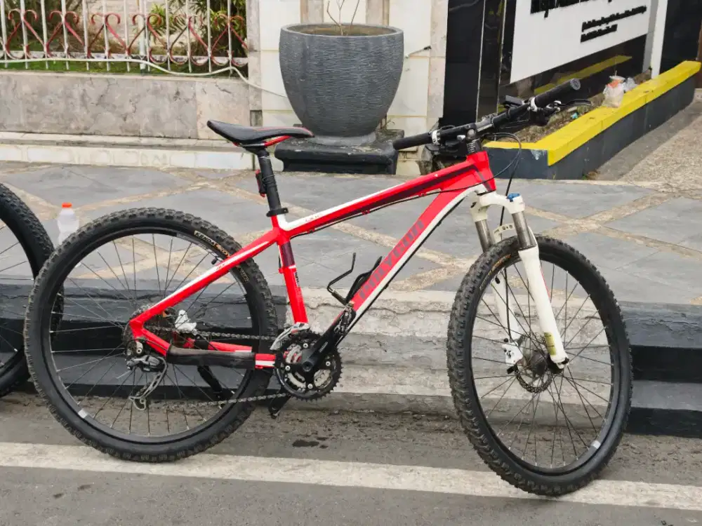 Polygon Cozmic CX 1.0
