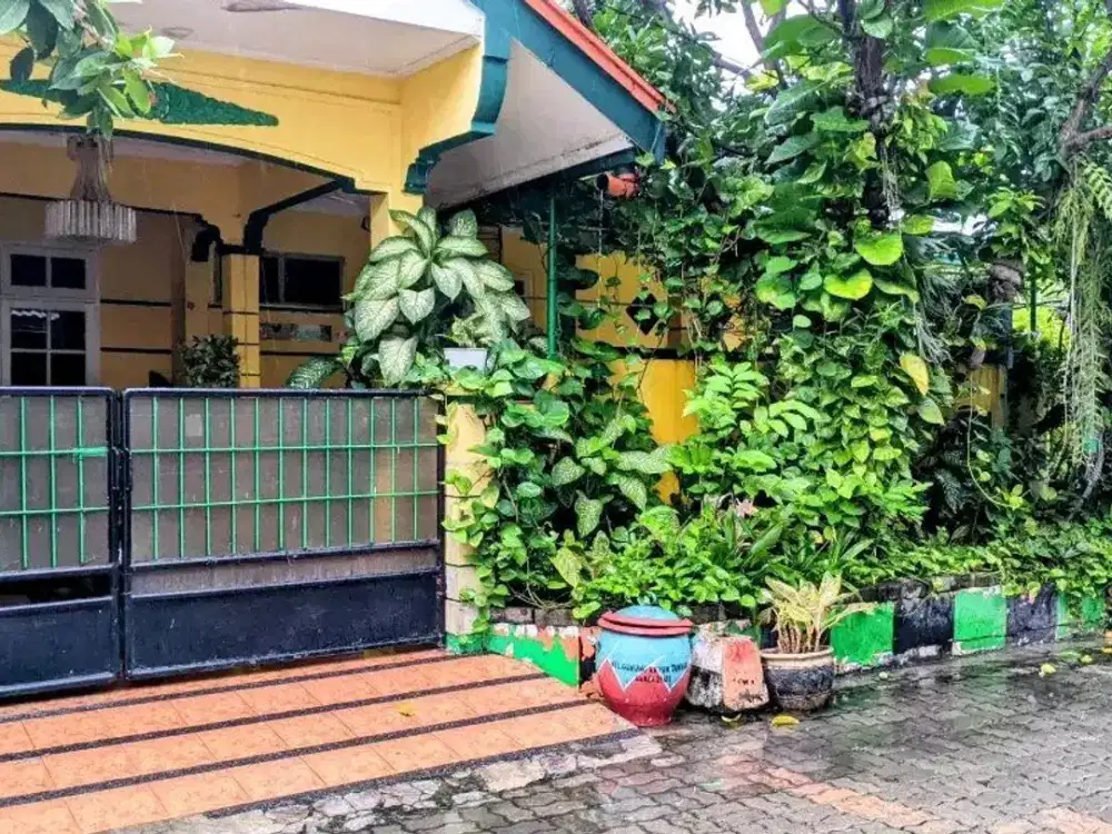 DIJUAL RUMAH WIGUNA TIMUR GUNUNG ANYAR SURABAYA RON.A534