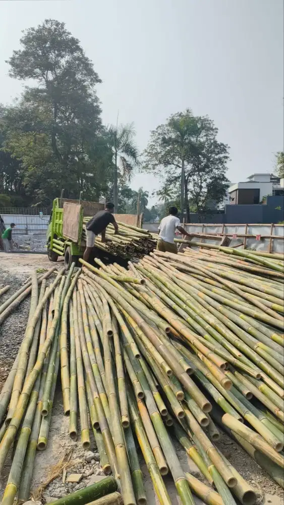 Bambu Proyek / Bekisting