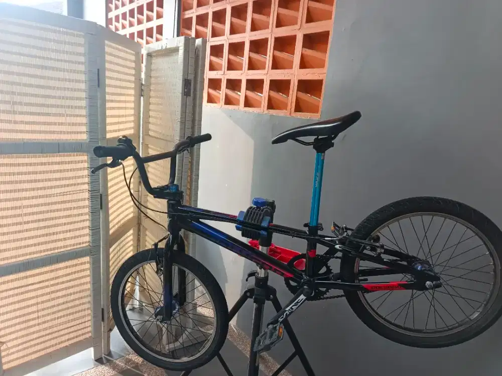 BMX Polygon Rogue