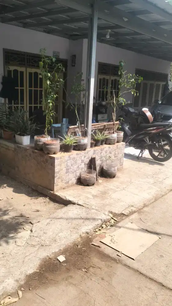 di jual butuh rumah dan kebon