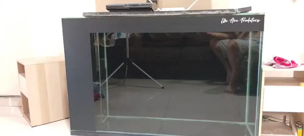 Aquarium dijual