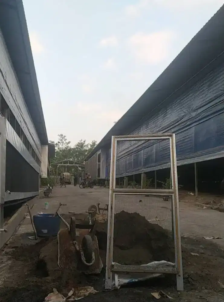 Jual Peternakan Ayam
Dayurejo, Pandaan