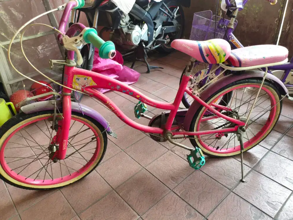 Sepeda anak element venice