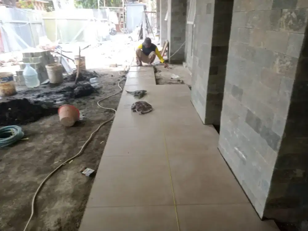 Dicari manajer proyek dan logistik