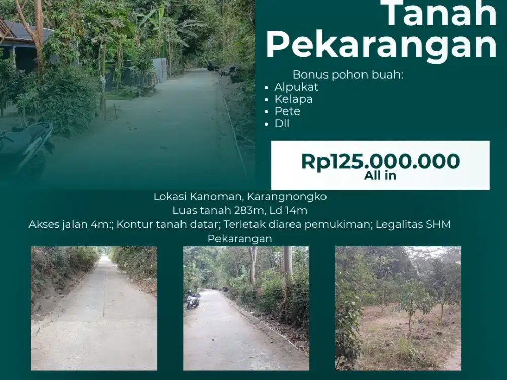 Tanah Pekarangan Karangnongko Murah Bonus Pohon Buah