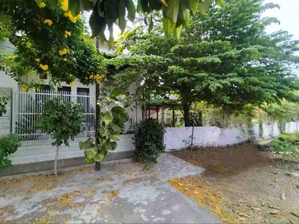 Dijual Tanah komersial di area  kampus UMS