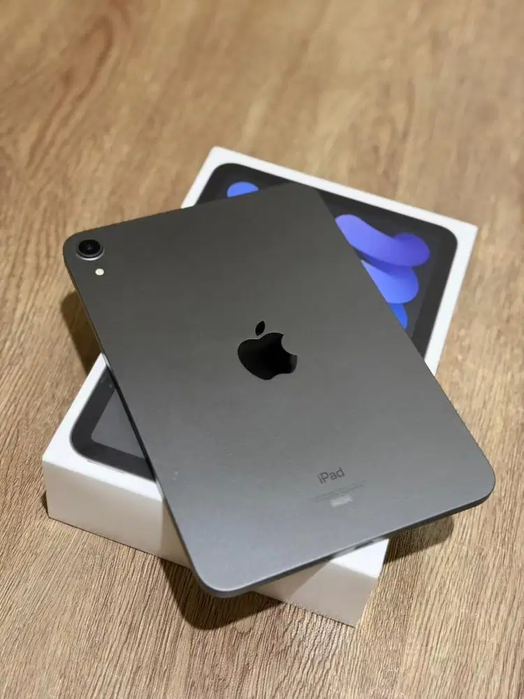 Ipad Mini 6 256 (langka)