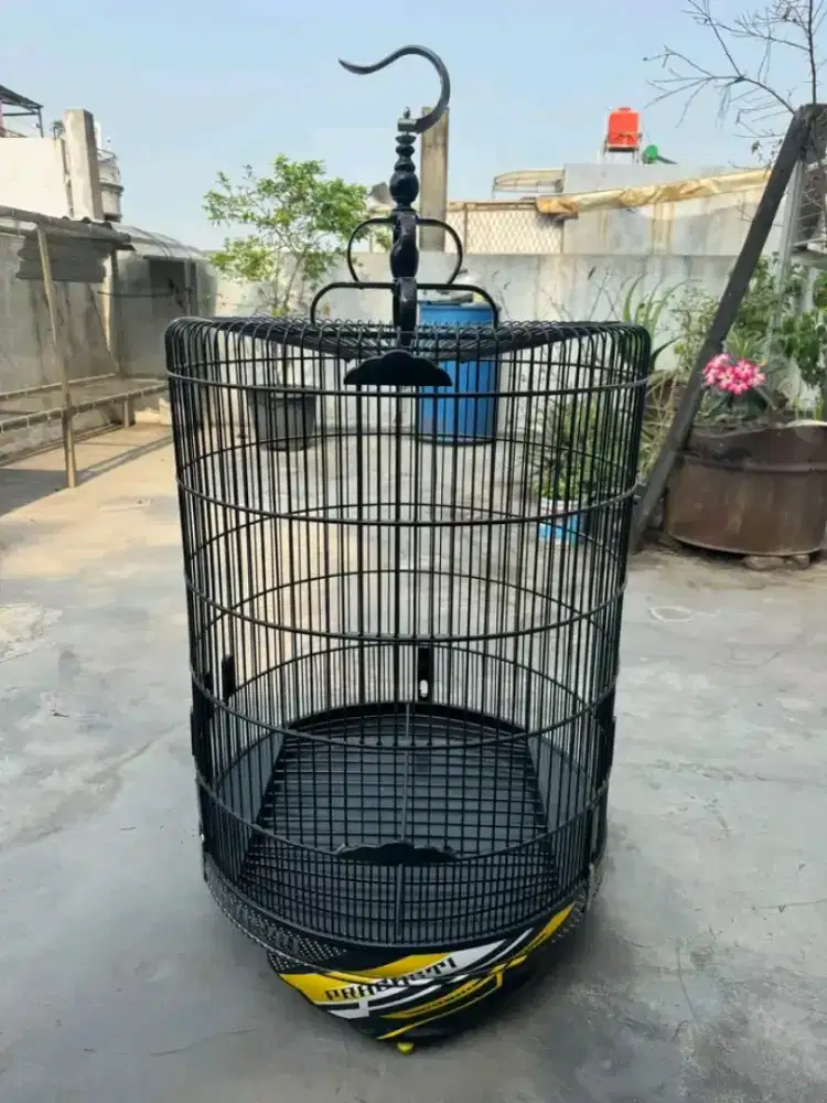 sangkar murai batu nom2