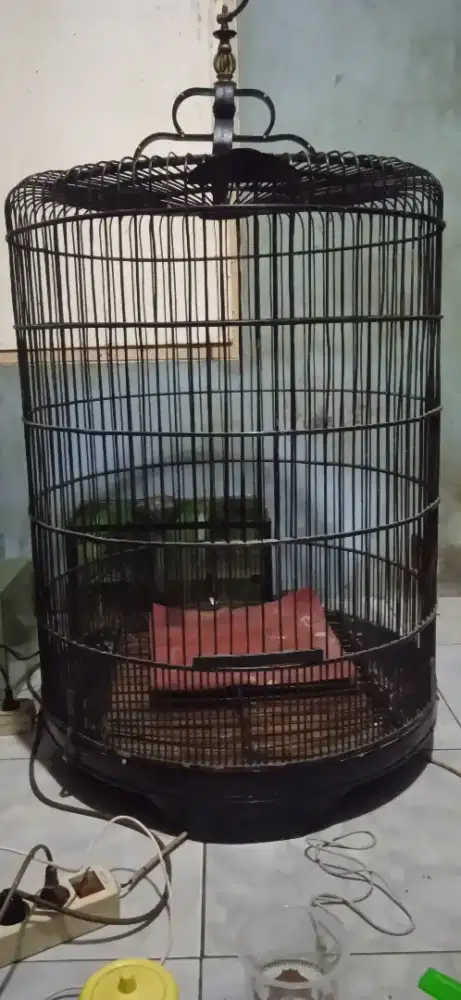 Kandang murai no 1 di BSD