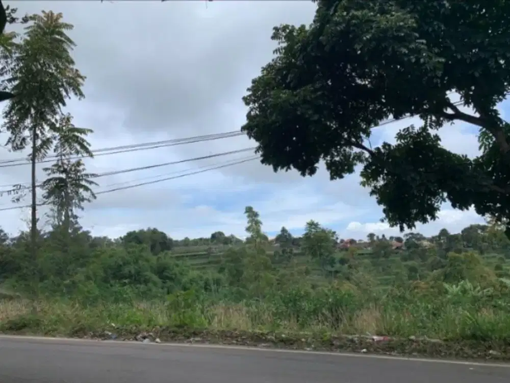 Jual Tanah  di Pasir Halang, Cisarua  (akses masuk: Jl Padalarang & Kol Masturi)