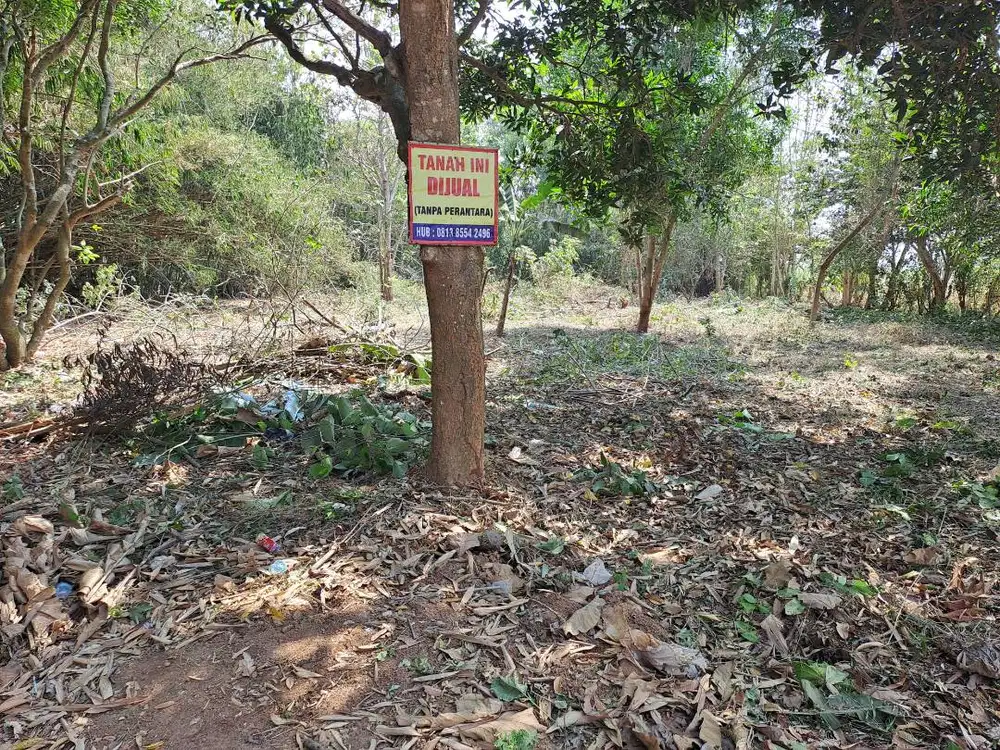 Tanah 3354 M2 di Cikaum Subang