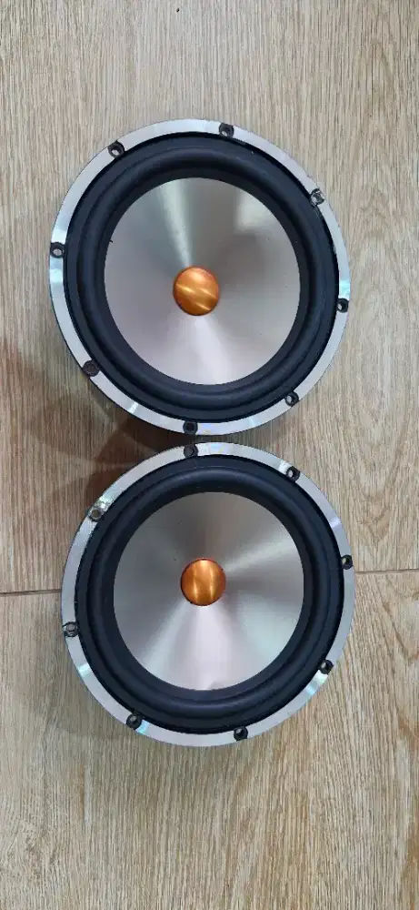 Zevox ZS 6.5 AL (Midbass)