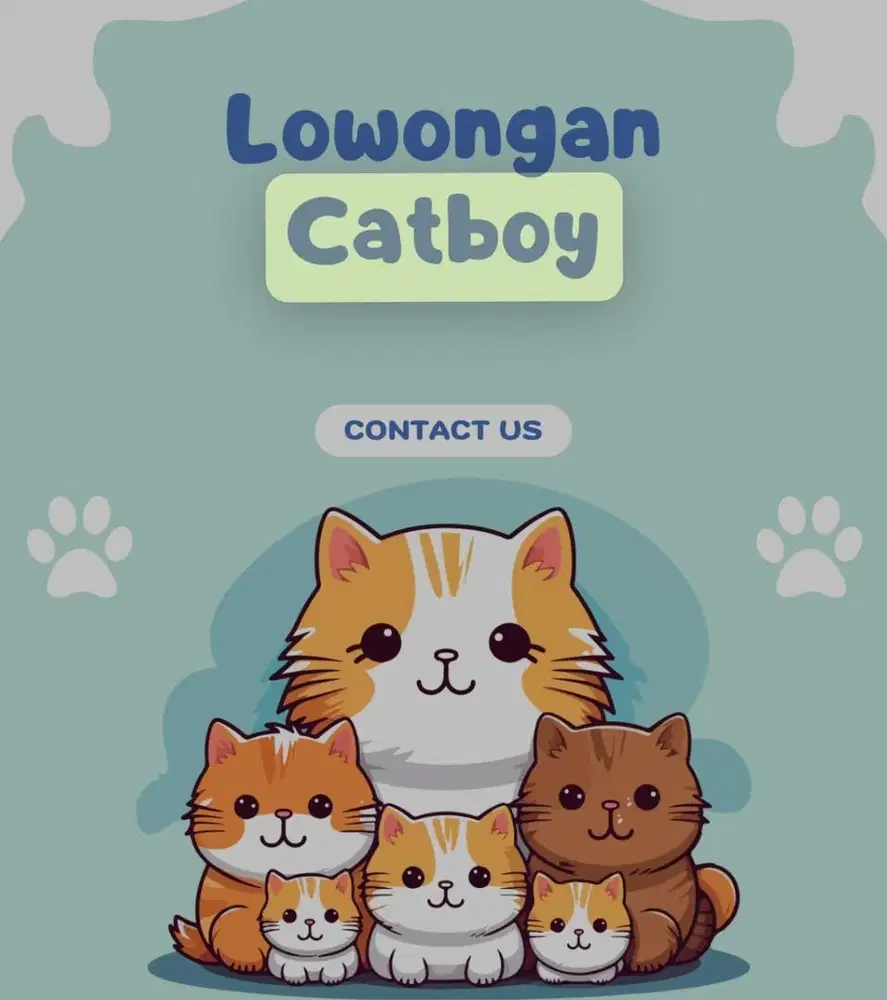 Lowongan kerja catboy