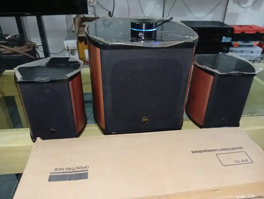Swans M50W Active Speaker 2.1