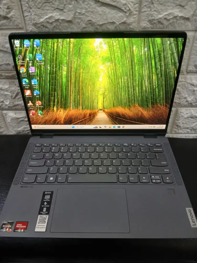 LENOVO IDEAPAD FLEX TOUCHSCREEN