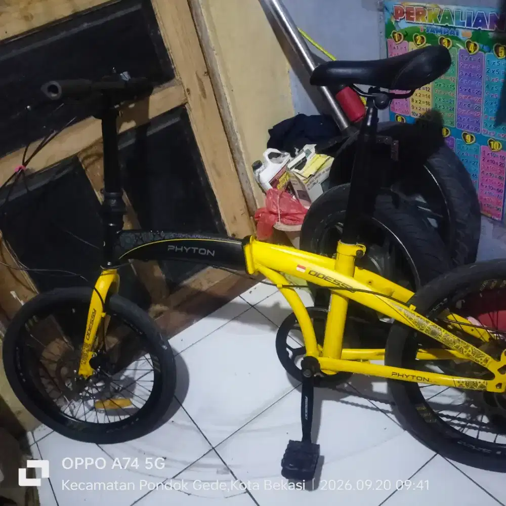 Oddesy phyton ukuran 20