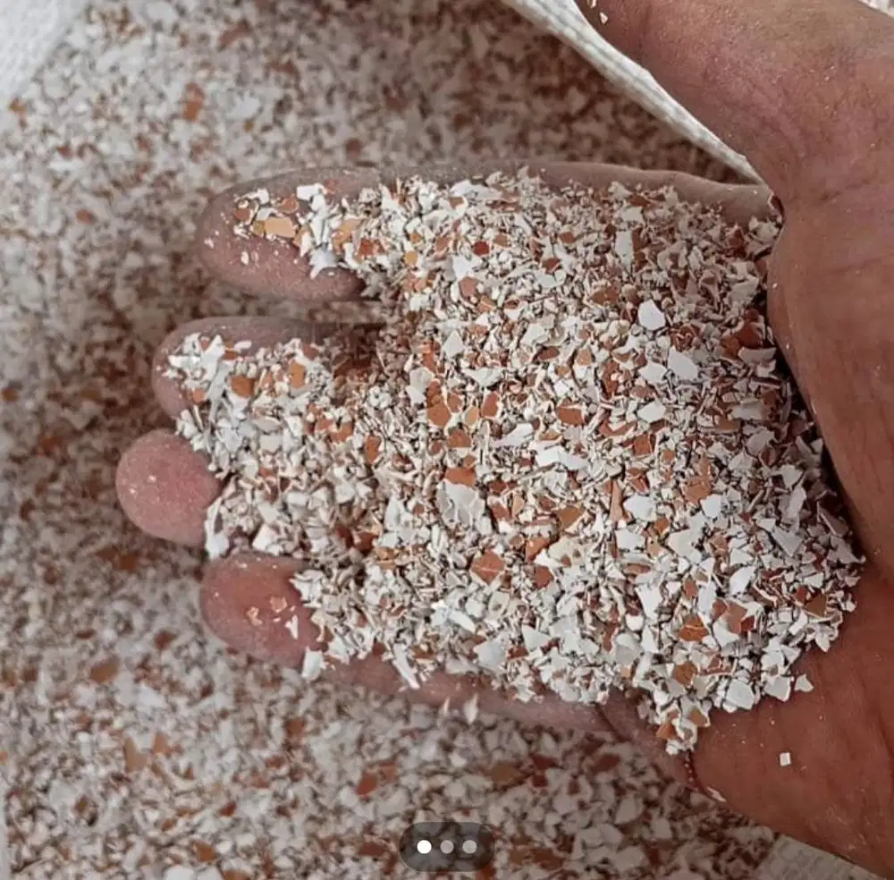 Grit Serpihan Cangkang Kulit Telur Untuk Pupuk dan Pakan Ternak