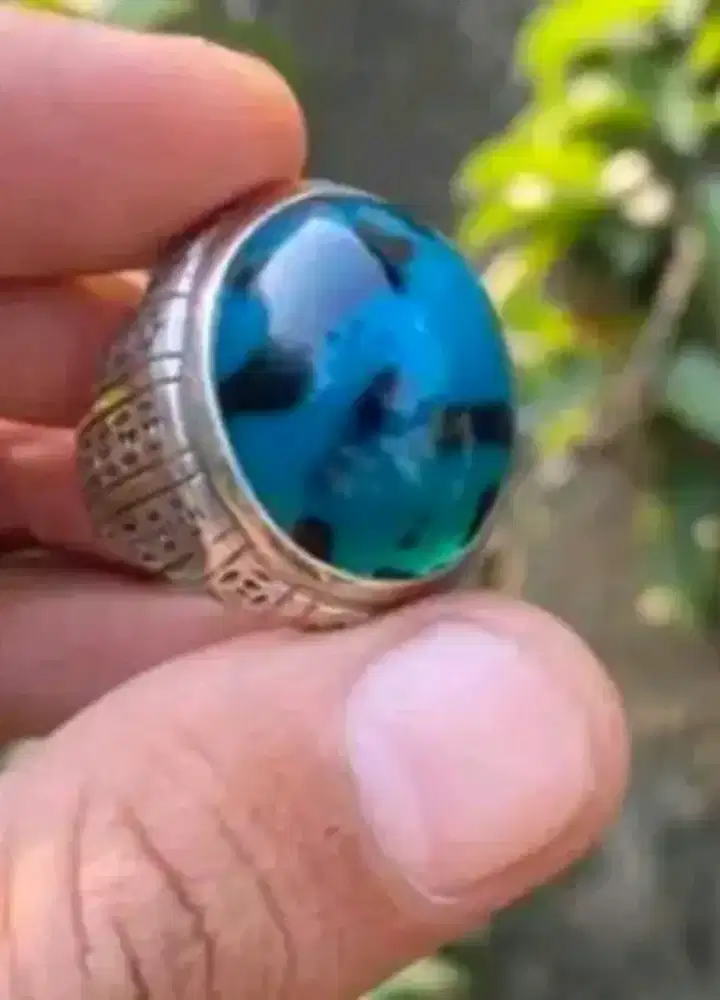 Bacan Totol Dalmation