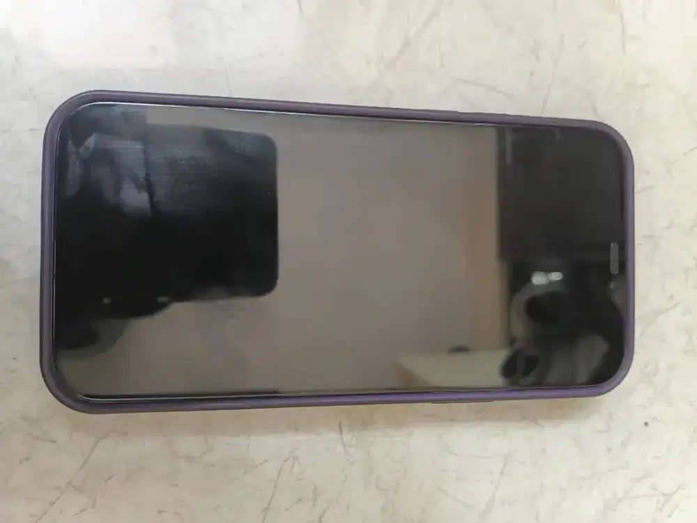 iphone 12 pro (inter)