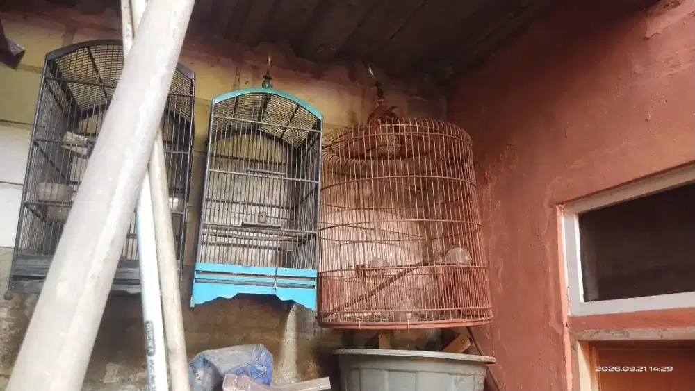 Kanang Besi dan Kandang Kayu