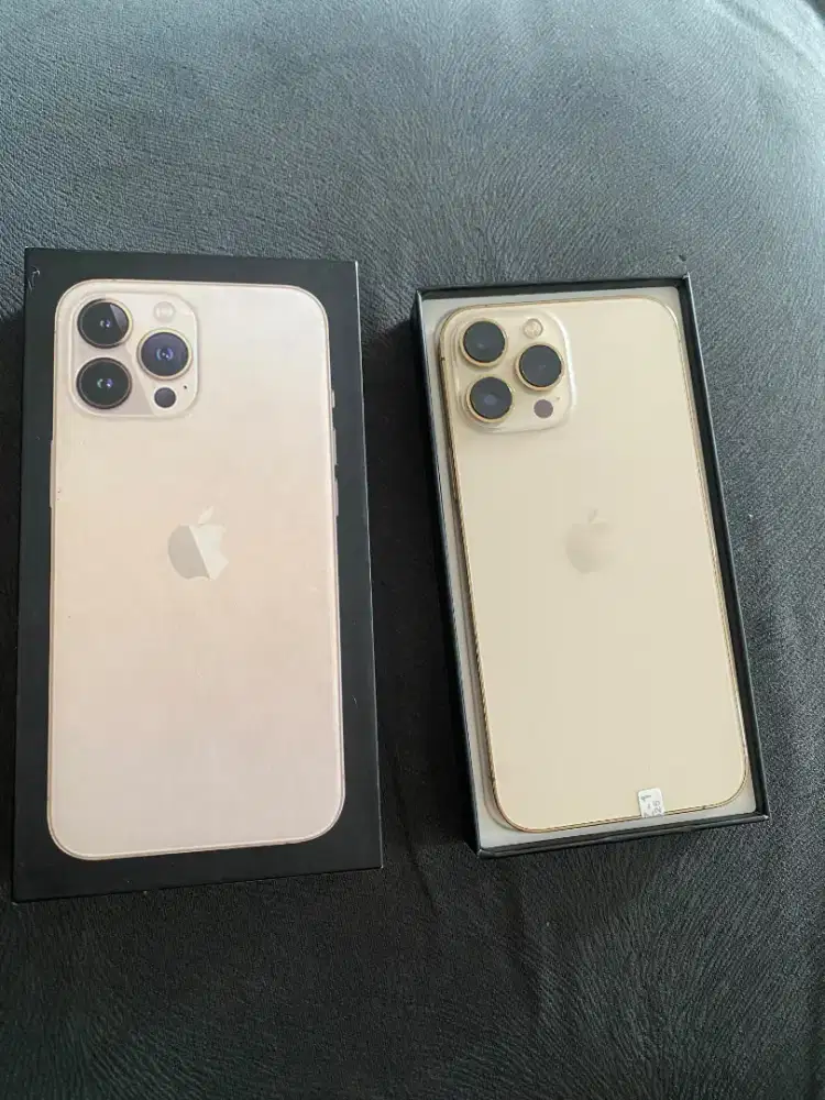 iPhone 13 Pro Max Gold 256GB Inter