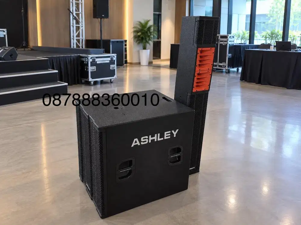 Speaker Ashley CL Pro65 & Ashley CL Pro18 Authentic