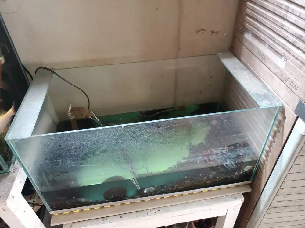 Aquarium ukuran Panjang 60, Lebar 30, tinggi 30