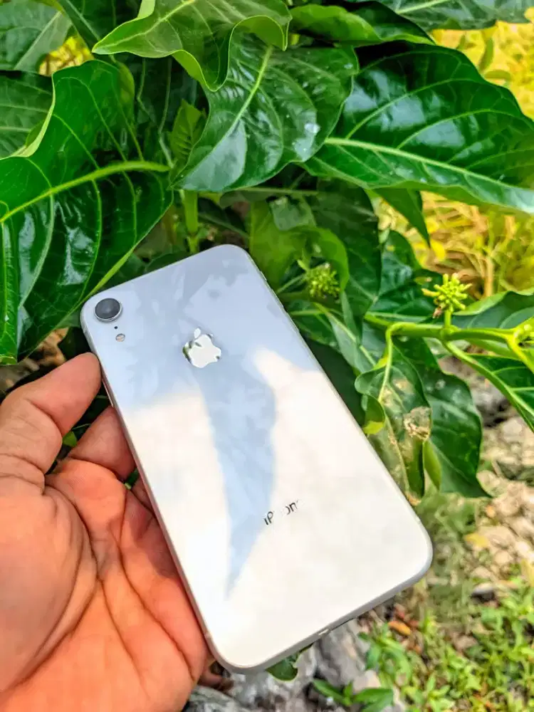 Iphone XR 128GB