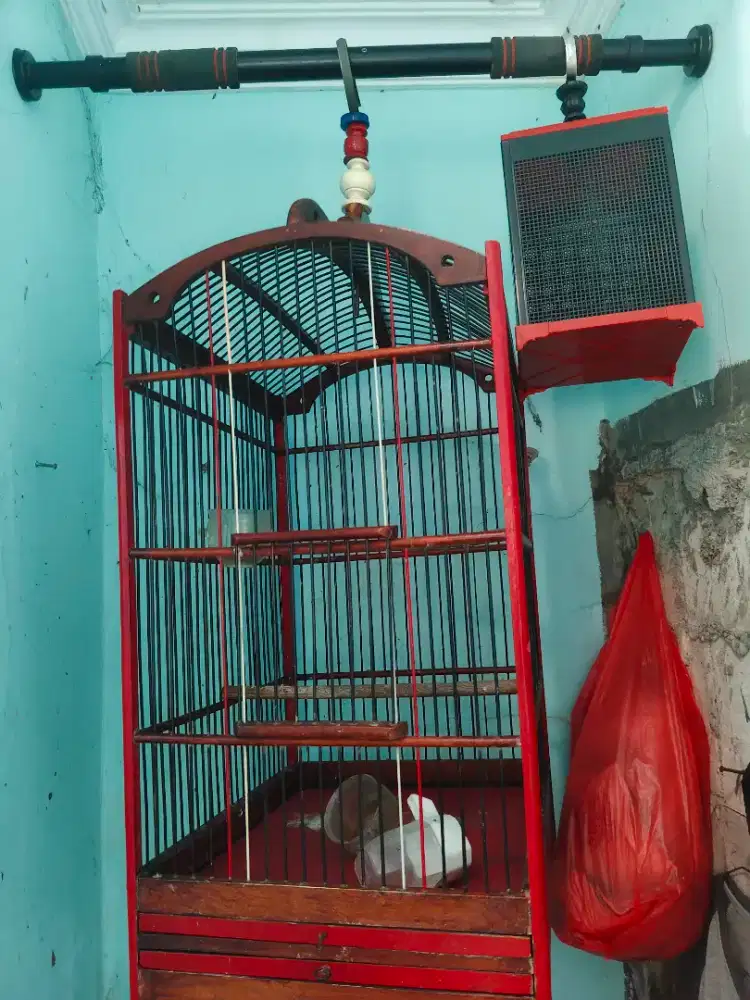 Kandang Burung Kicau