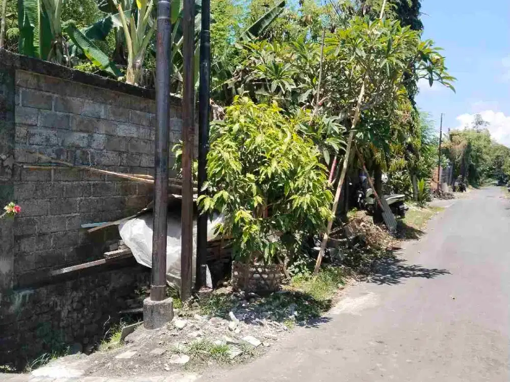 disewakan global tanah area puspom gianyar cocok utk perkantoran dan usaha rumah sewa