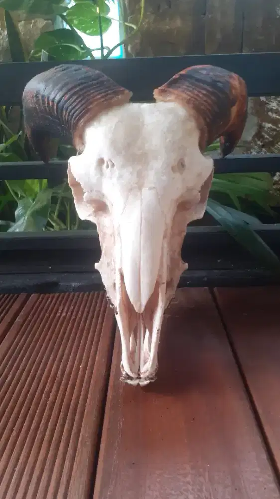 Pajangan dinding Estetik