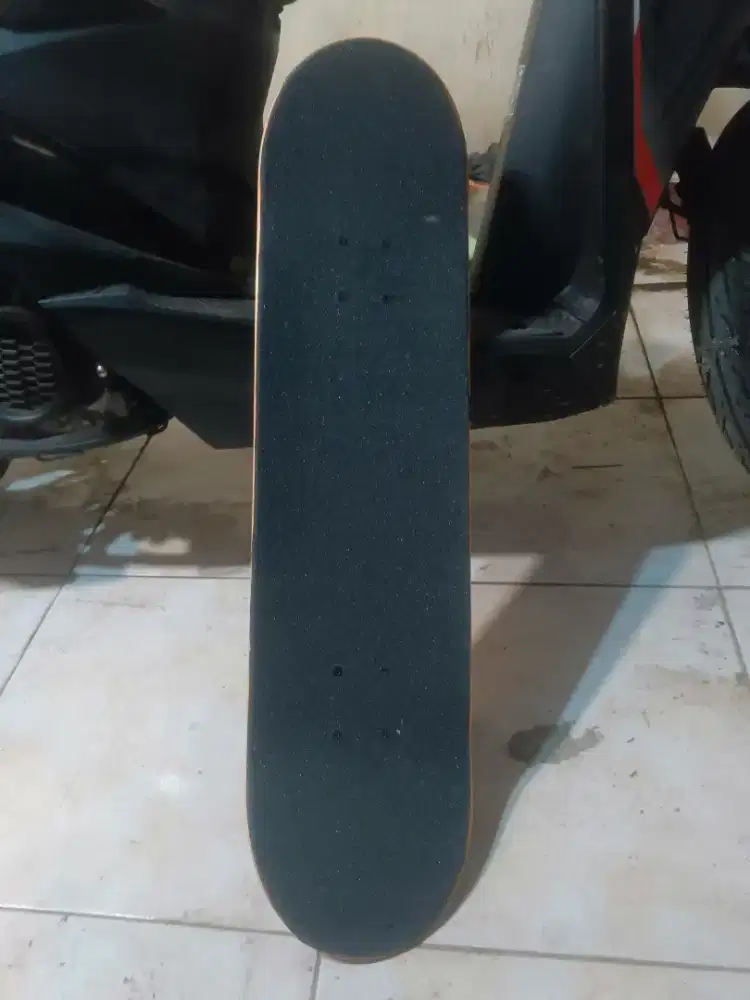 skateboard fullset blank mulus