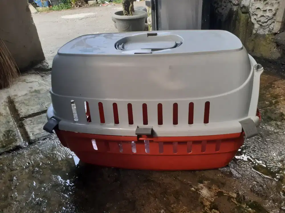 Pet Cargo (kandang kucing)