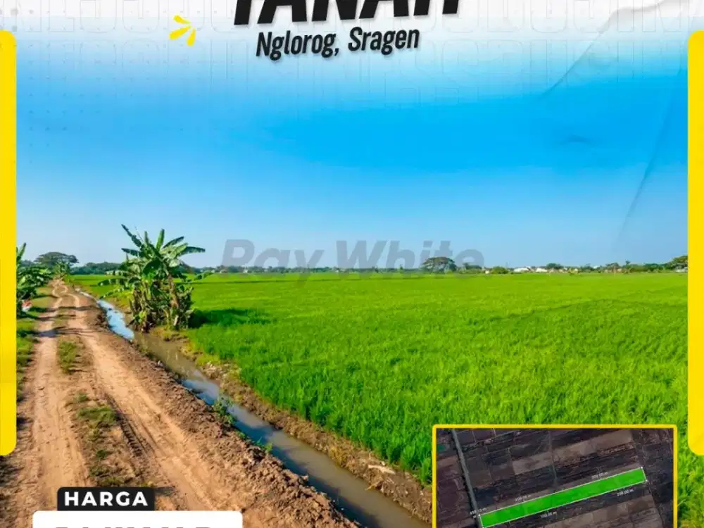 DIJUAL TANAH SAWAH STRATEGIS LUAS 3.840 M² DI NGLOROG, SRAGEN