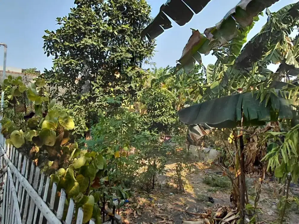 DIJUAL | TANAH KAVLING DEKAT SUMMARECON BEKASI