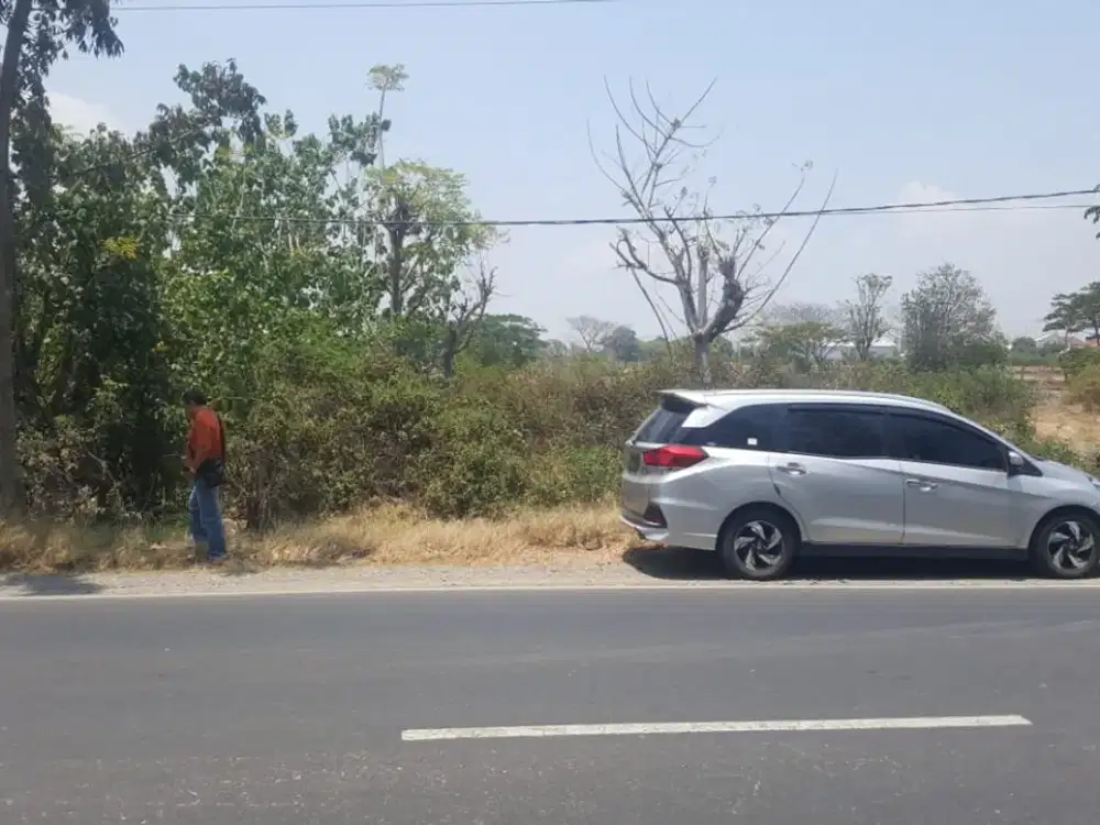 Jual Tanah Industri di Jalan Raya Bungah Gresik 3Ha Murah