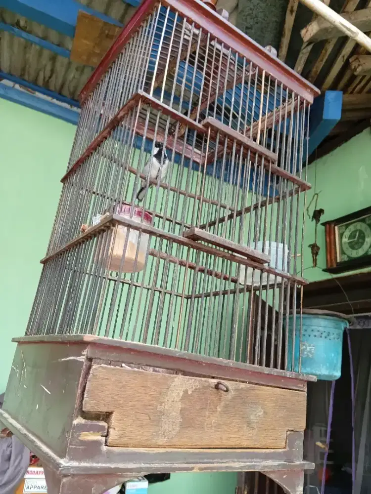 Glatik batu fulset
