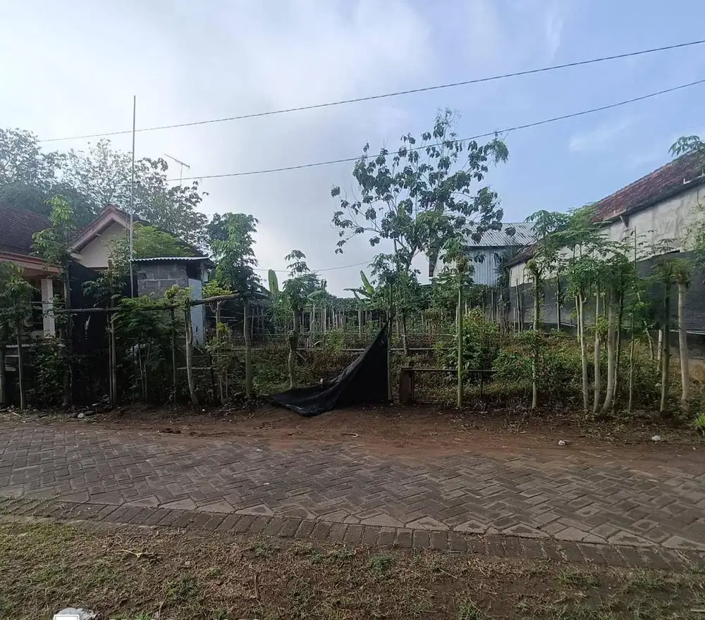 DIJUAL CEPAT TANAH 23.5 RU BISA NEGO. DS. KARANGTALUN KAB. TULUNGAGUNG