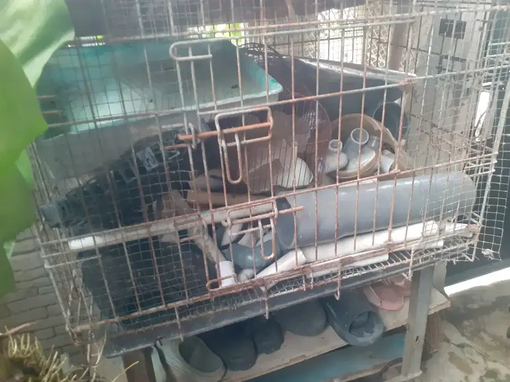 KANDANG Kucing,musang,iguana dan lainnya