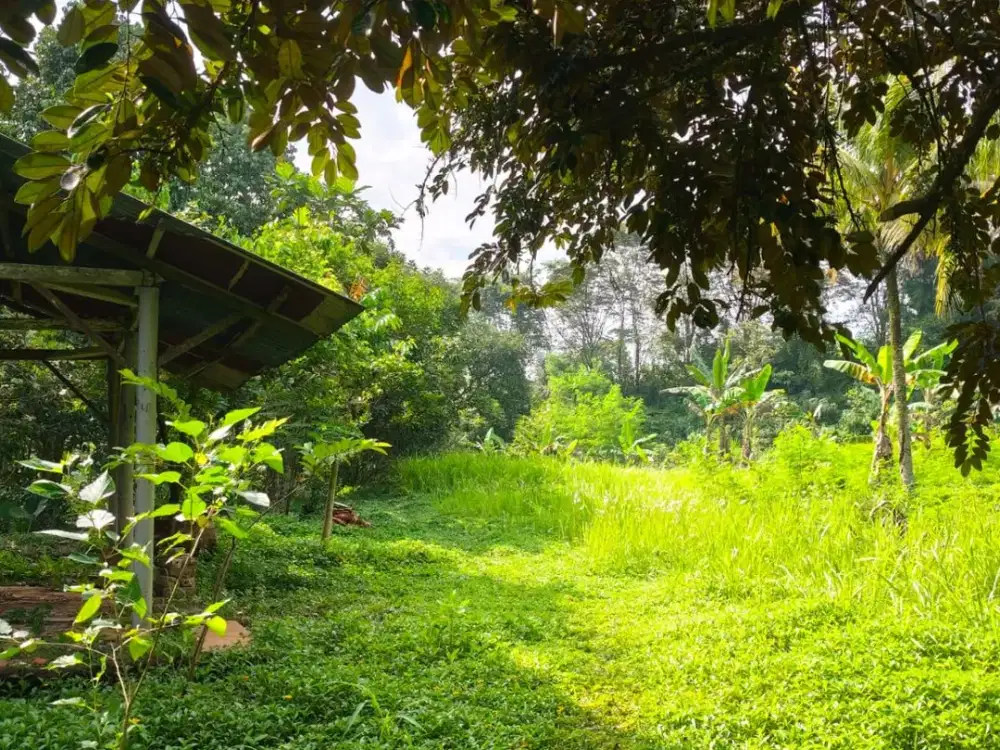 Tanah Murah Lokasi Strategis Cocok Untuk Anekamacam Usaha
