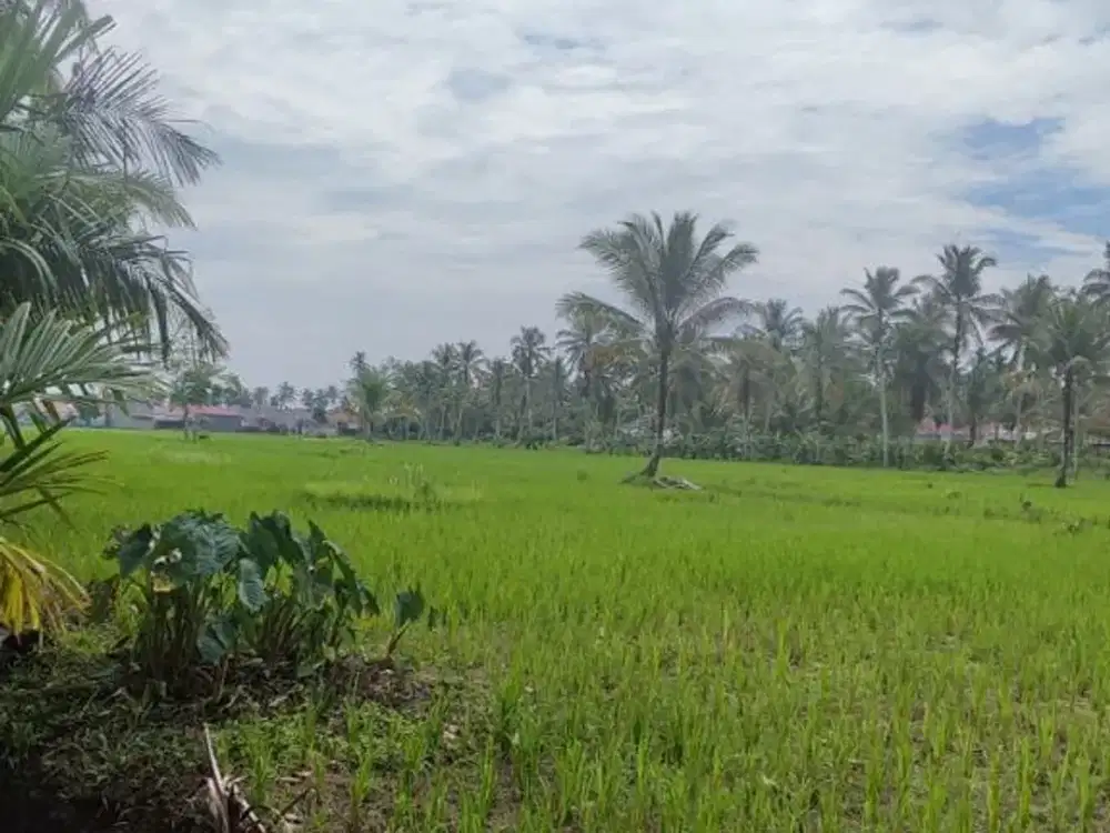 Kebun Siap Pakai Lokasi Masih Dekat Kota