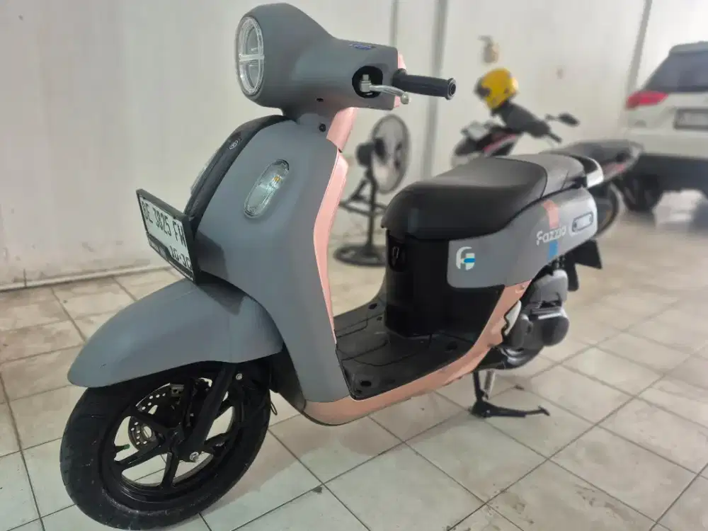 Fazzio th 2025 jos
