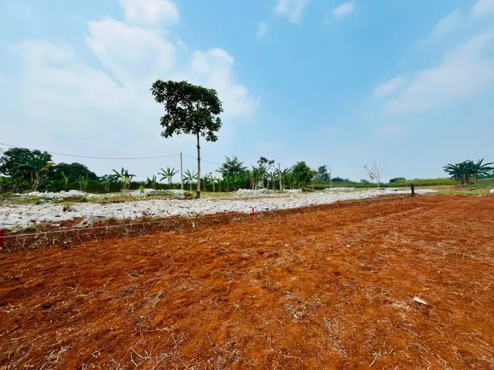 Jual Tanah Murah Dekat Jl. Raya Bomang Bogor