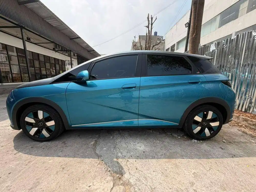 BYD Dolphin 2024 Listrik