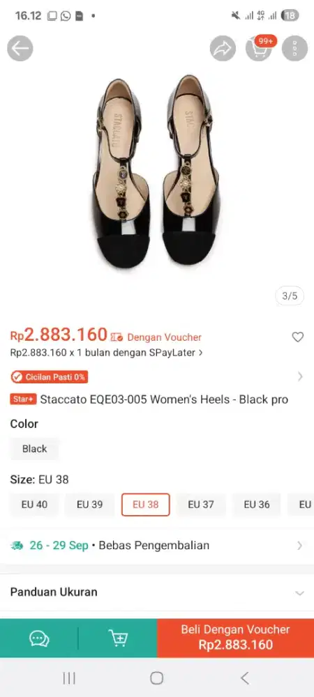Sepatu stacatto