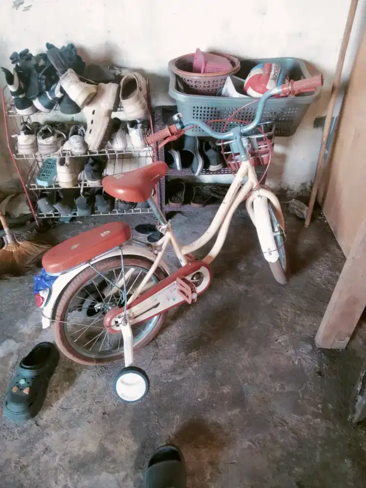 sepeda anak umur 5/6 tahun