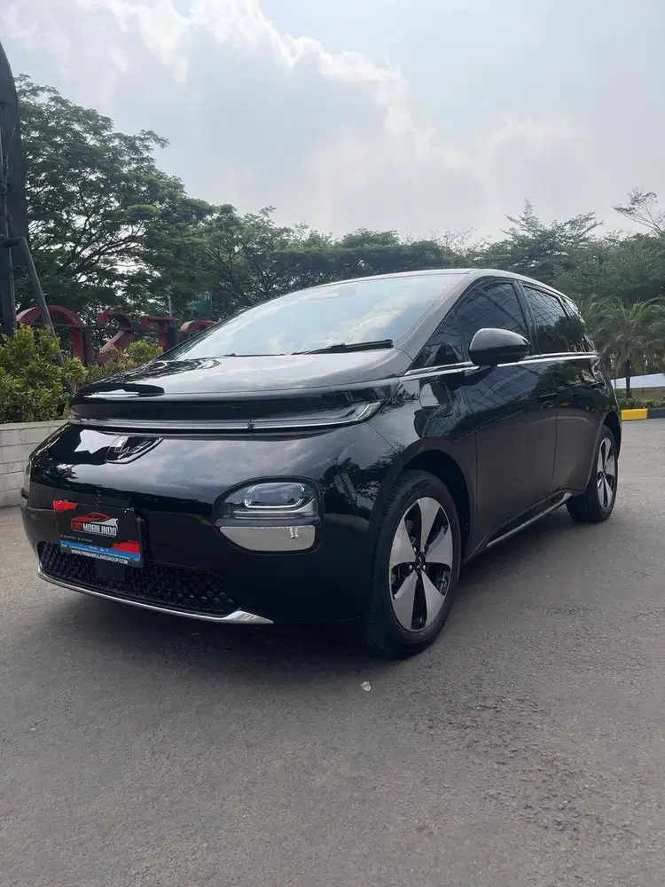 Wuling Cloud EV Long Range 460km 2024